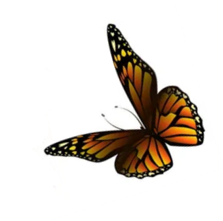 C:\Users\School\Desktop\РОЗРОБКИ\картинки\depositphotos_407380196-stock-illustration-flying-orange-butterflies-vector-illustration (1мпр)12.png